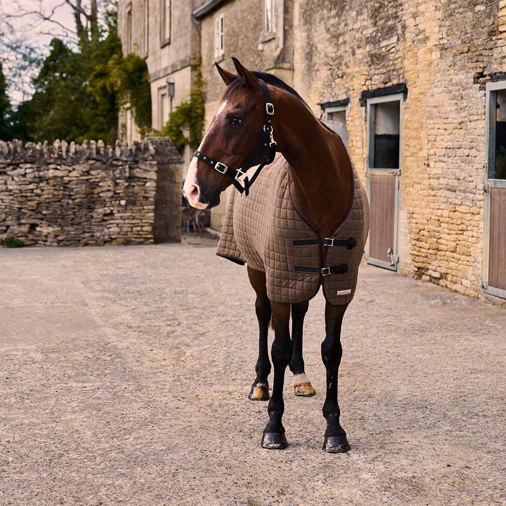 Original Cooler Rug - Taupe