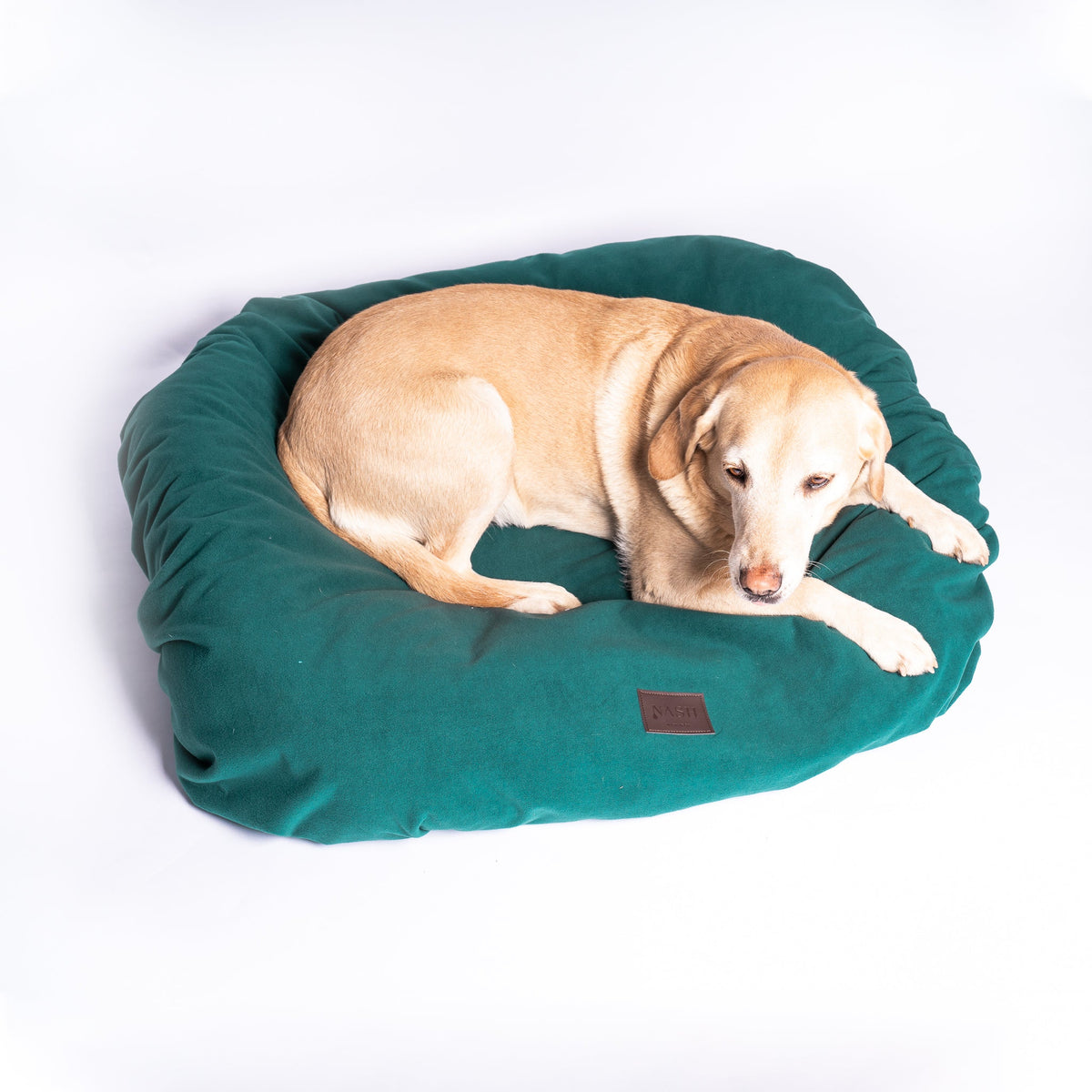 Golden Labrador resting on its dog bed, covered with the NASH waterproof microfleece dog bed cover.