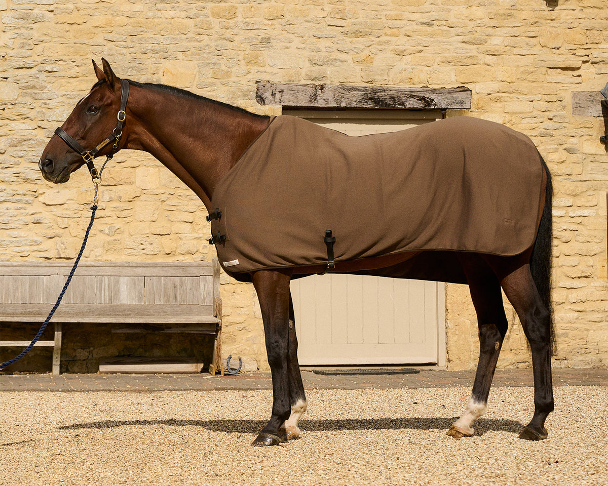 Horse wearing a Thermatex Lightweight Cooler Rug in Taupe
