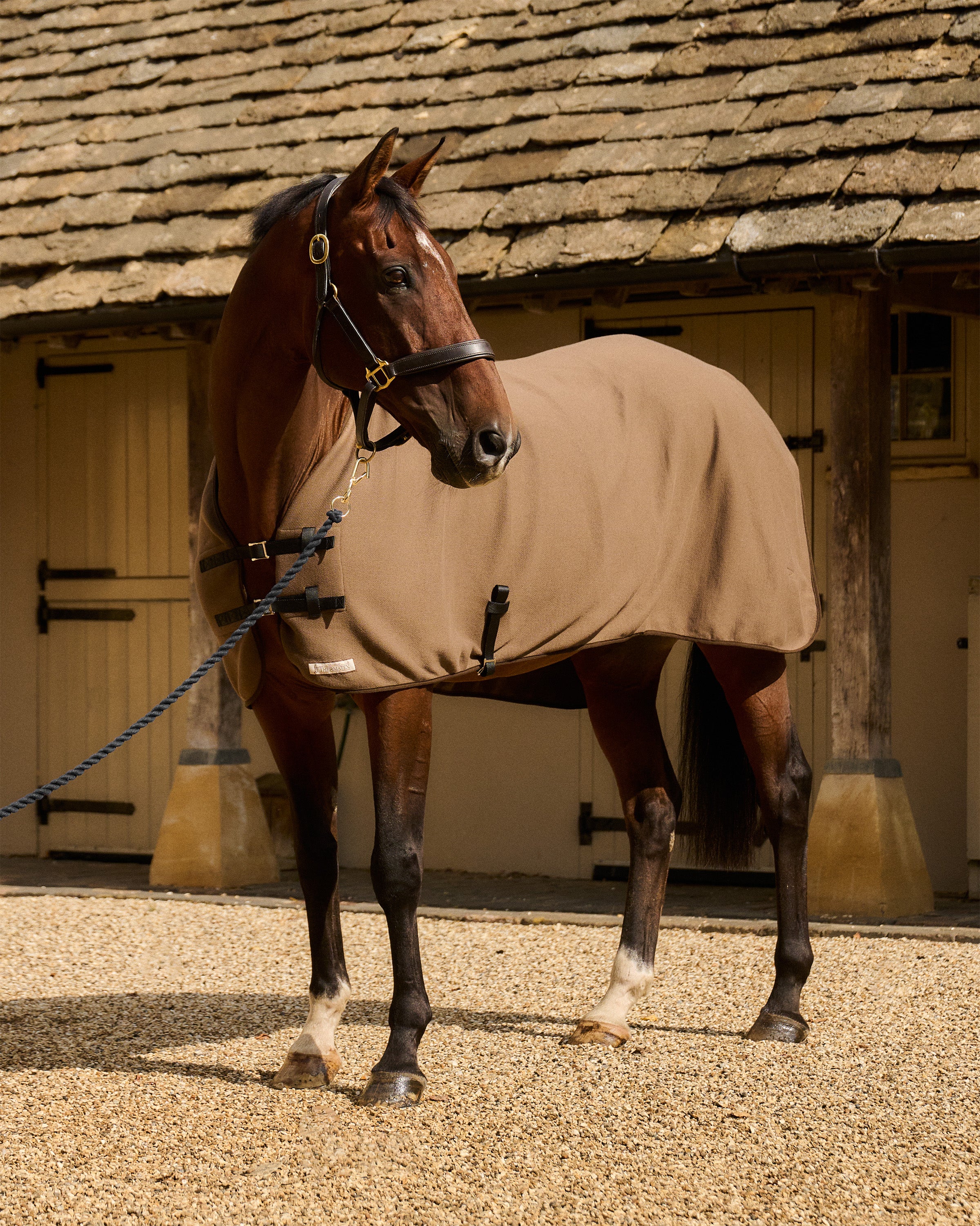 Horse wearing a Thermatex Lightweight Cooler Rug in Taupe