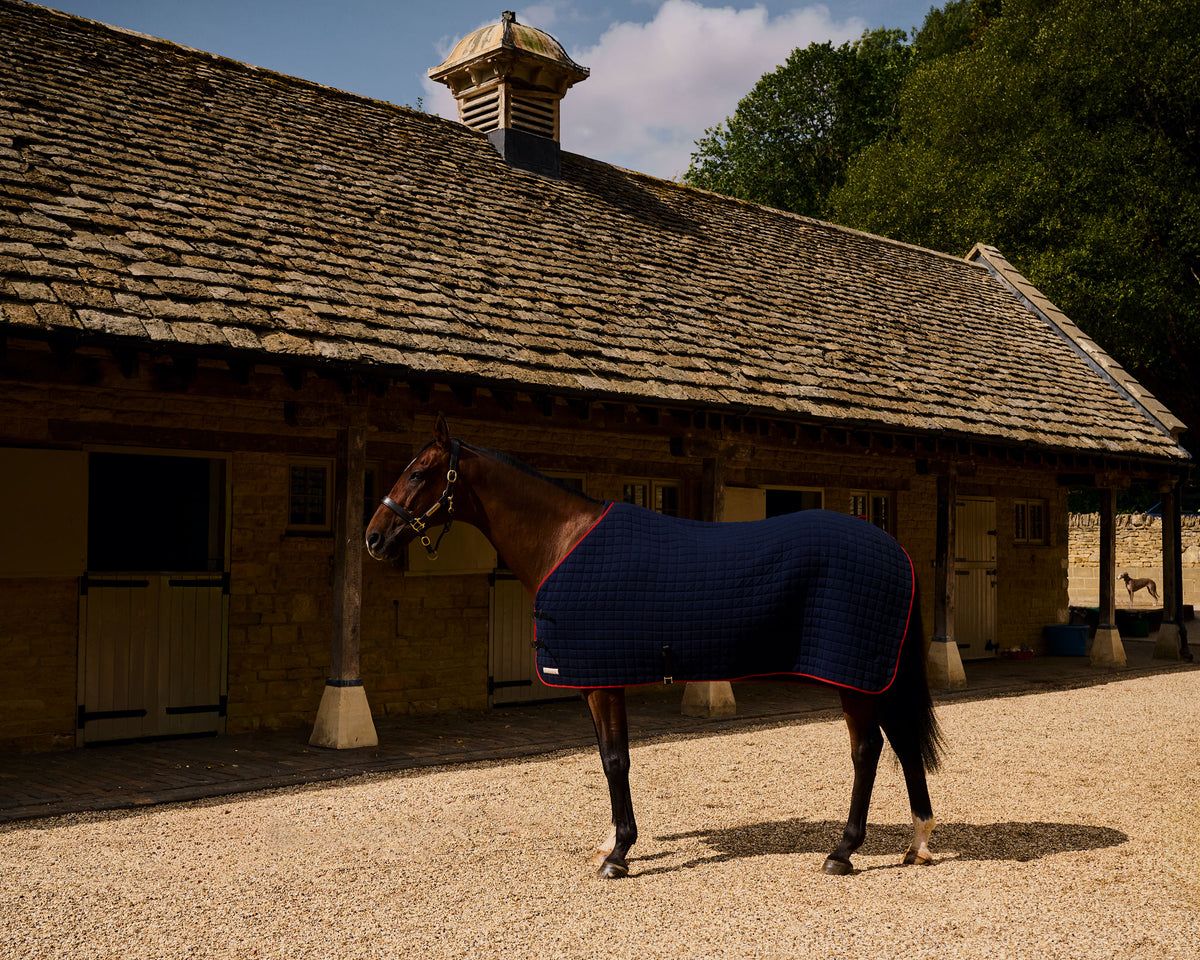 Horse wearing a Thermatex Original Cooler Rug in Navy