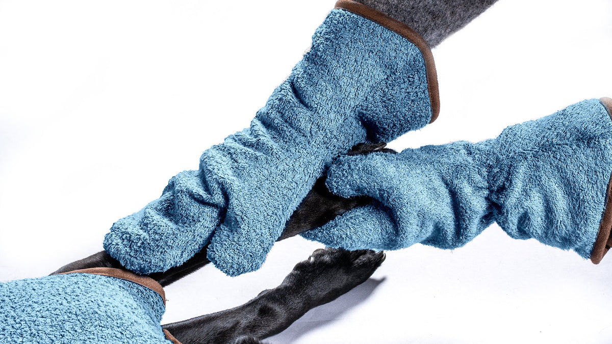 Black Labrador having its paws dried with a pair of Cambridge blue bamboo dog drying mitts by NASH.