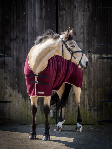 Lightweight Cooler Rug (SHRL)