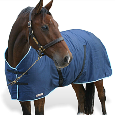 Covered Cooler Rug (TSR)