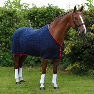 Original Cooler Rug (SHR)