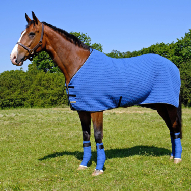 Premium Quilted Cooler Rug (T2000)