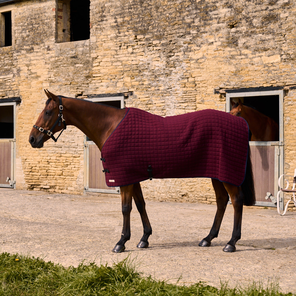 Original Cooler Rug - Claret