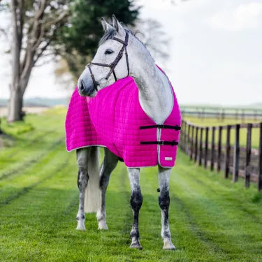 Cooler Rugs