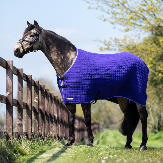 Original Pony Cooler Rug (PSHR)