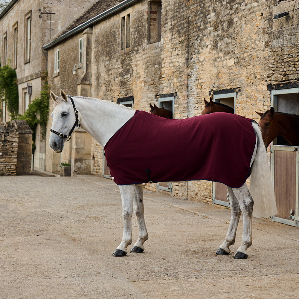Lightweight Cooler Rug - Claret