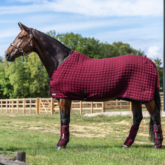 Original Cooler Rug (SHR)