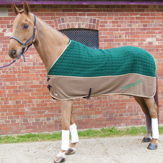 Duet Cooler Rug