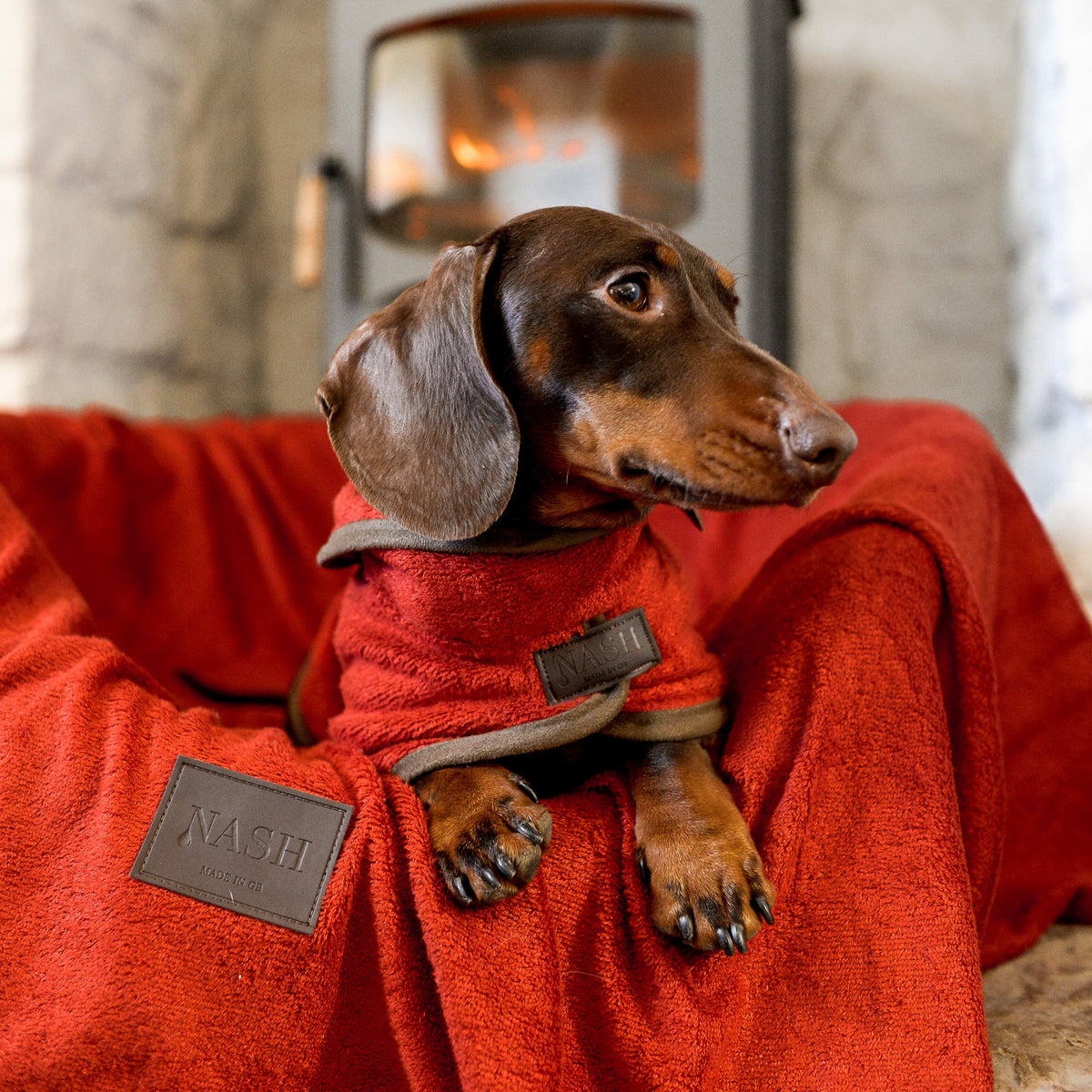 Dachshund relaxing at home in front of a lit fireplace, wearing a red bamboo dog drying coat and throw by NASH Dog Co. 