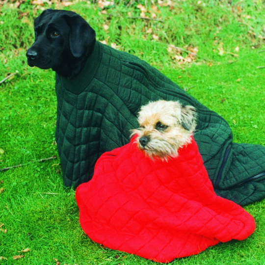 Dog Bag