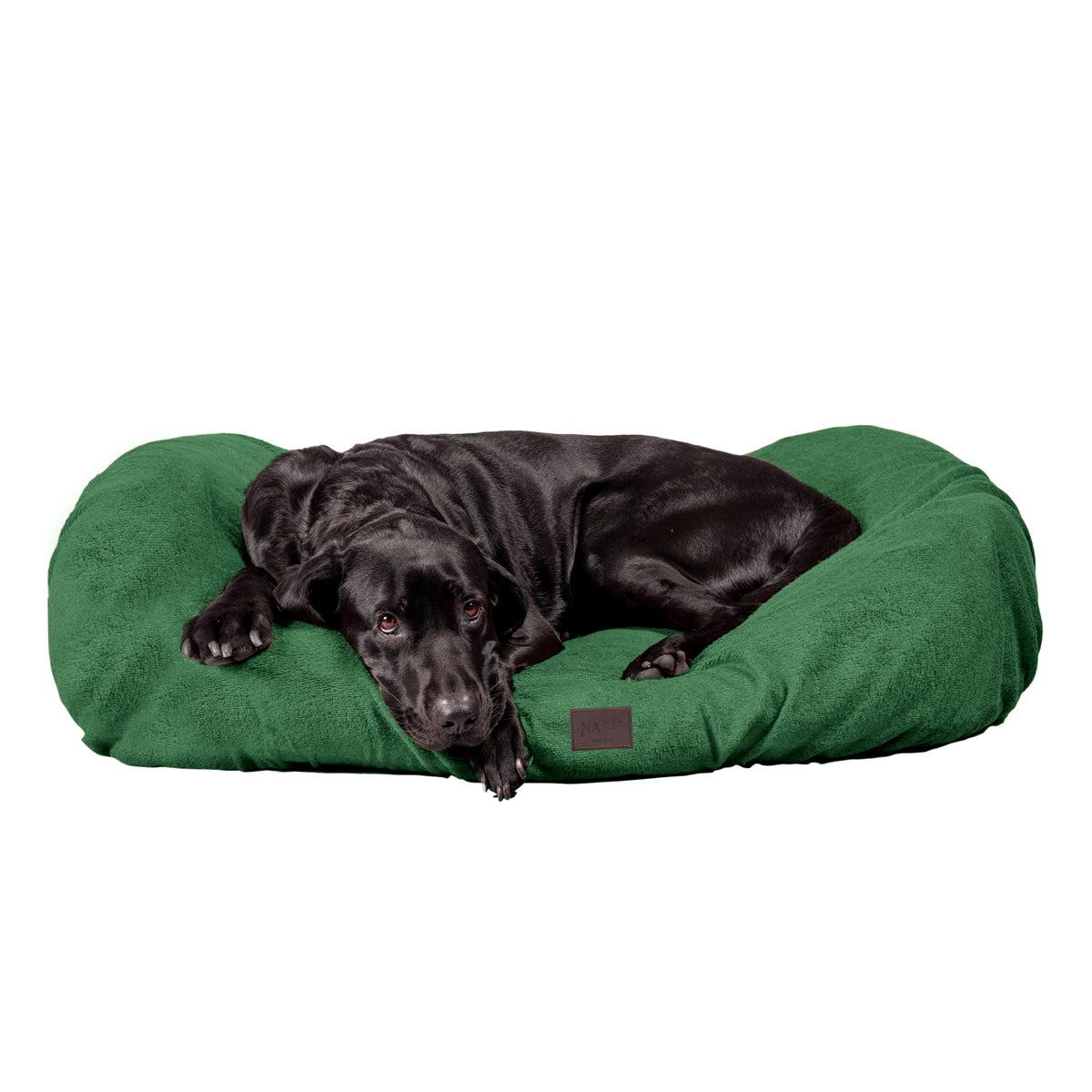 Labrador relaxing on its bed. The bed is covered & protected with the NASH bamboo dog bed cover in forest green. 
