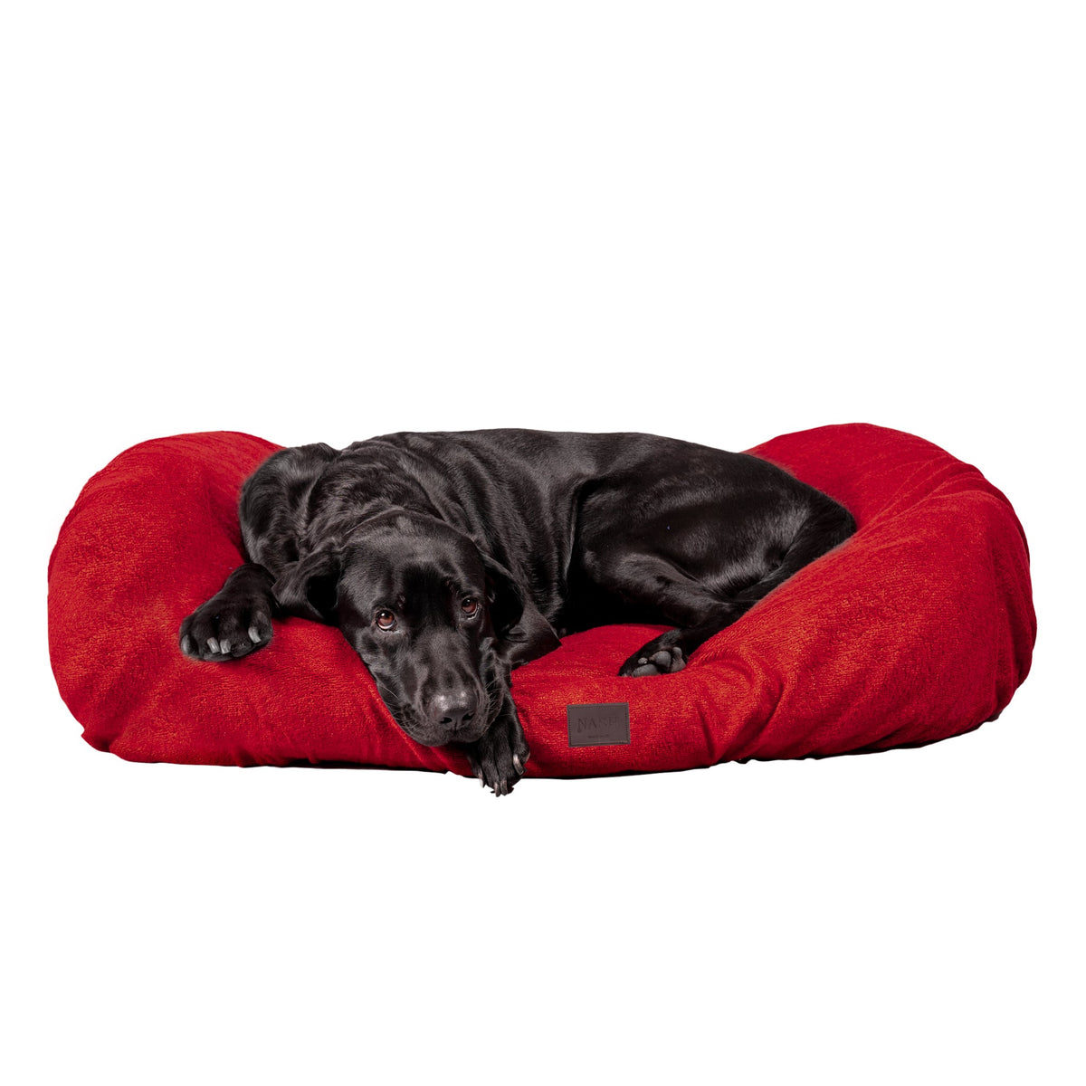 Labrador relaxing on its dog bed. The bed is protected using the NASH bamboo dog bed cover in red. 