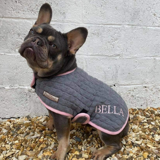 Front-Opening Dog Coat