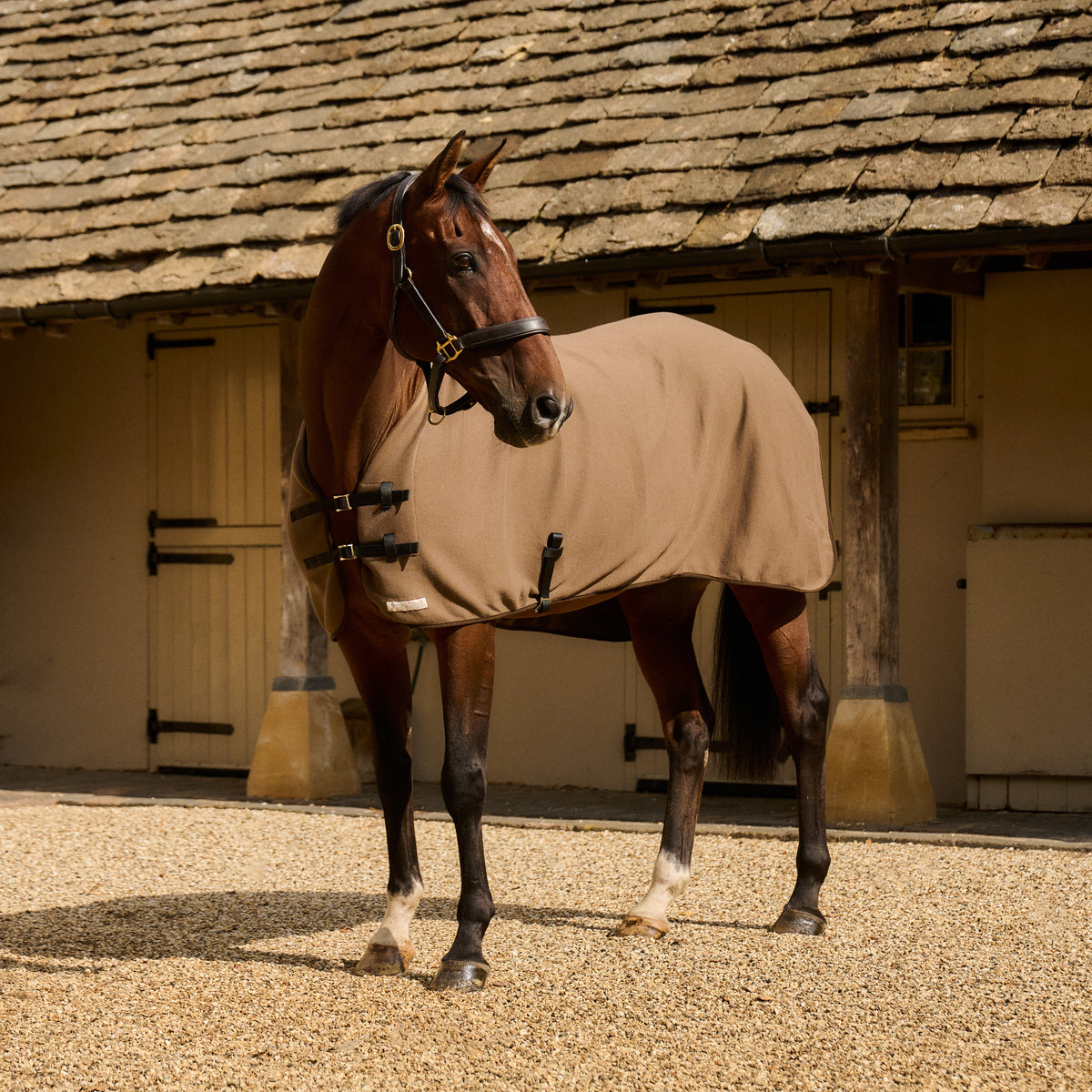 Lightweight Cooler Rug - Taupe