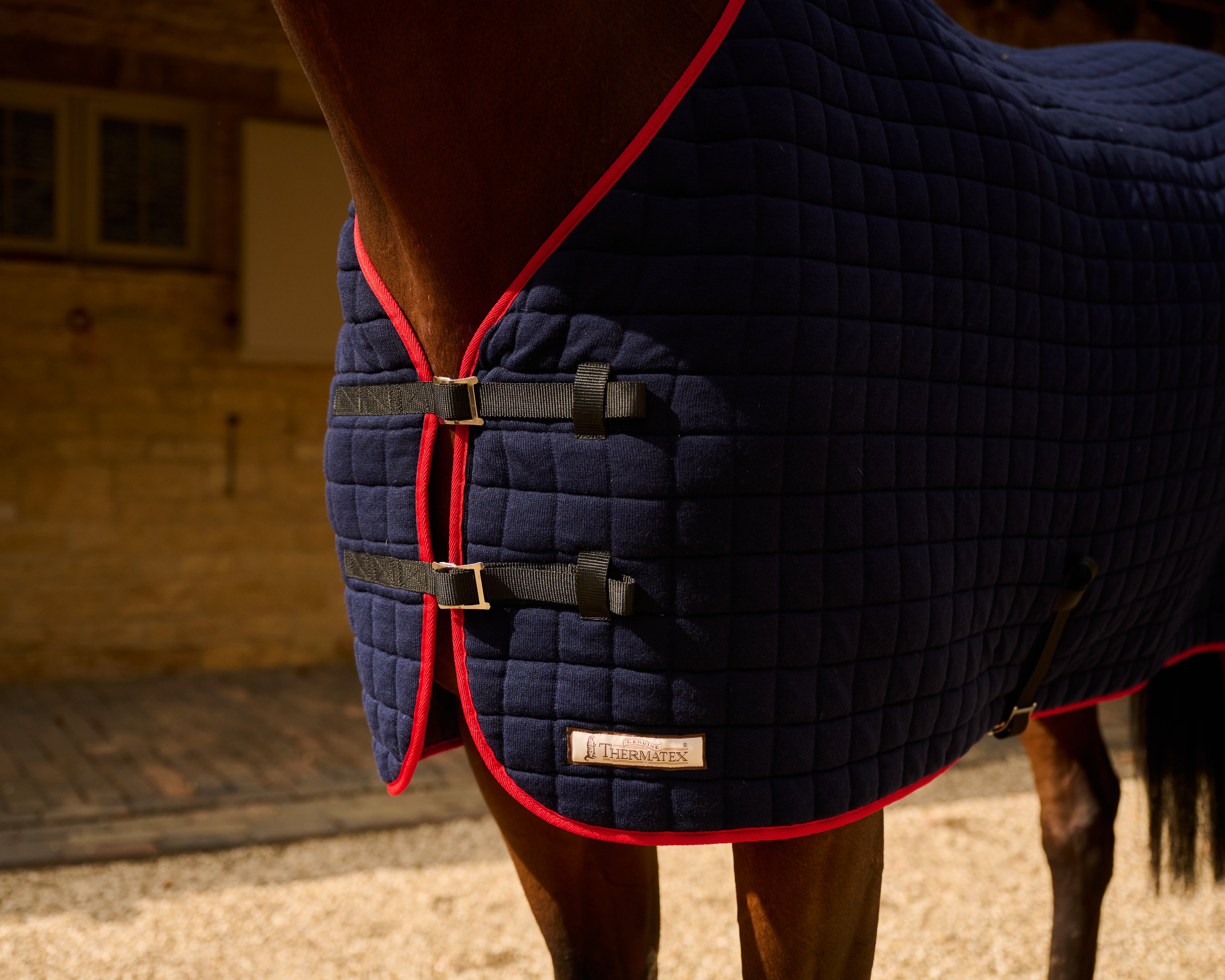Horse wearing a Thermatex Original Cooler Rug in Navy