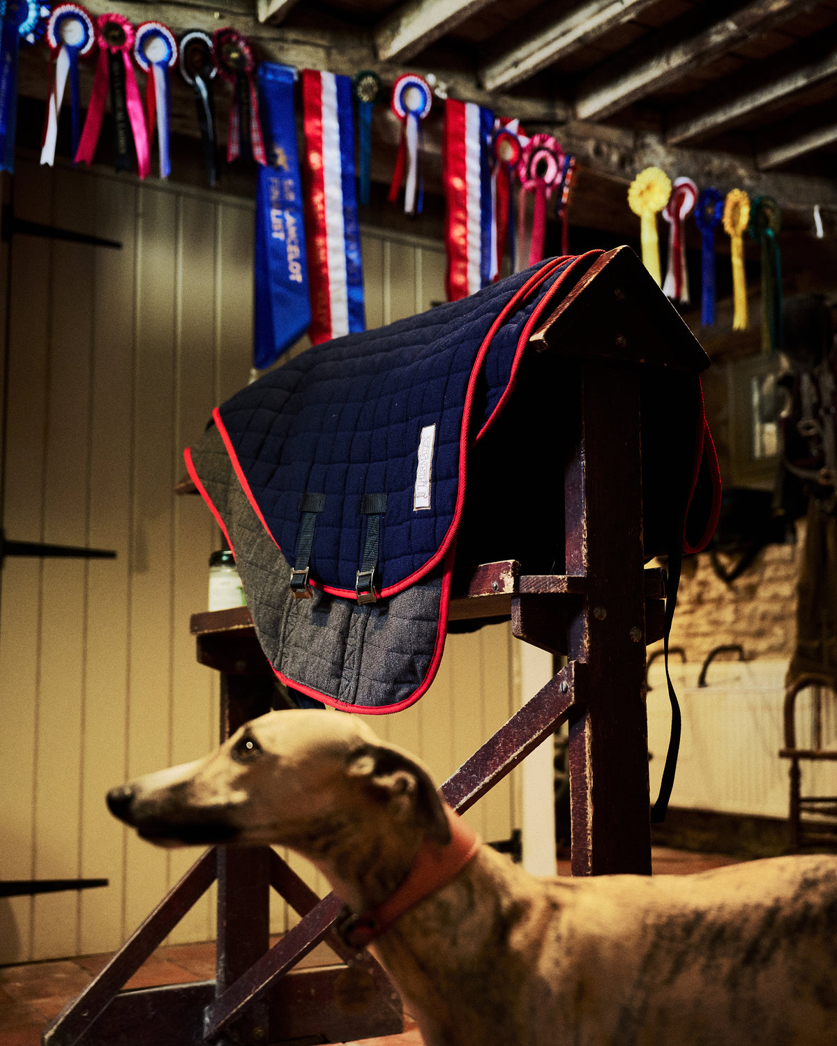 Horse wearing a Thermatex Original Cooler Rug in Navy
