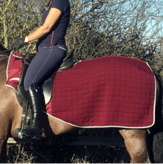 Quilted Trainer Rug (TNR)