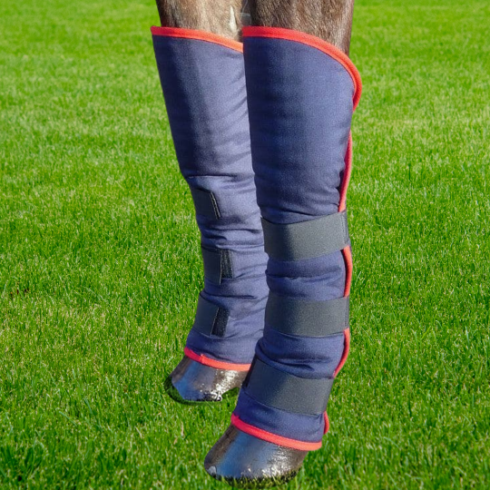 Travel Boots
