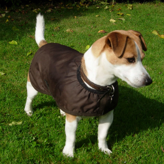 Waterproof Dog Coat