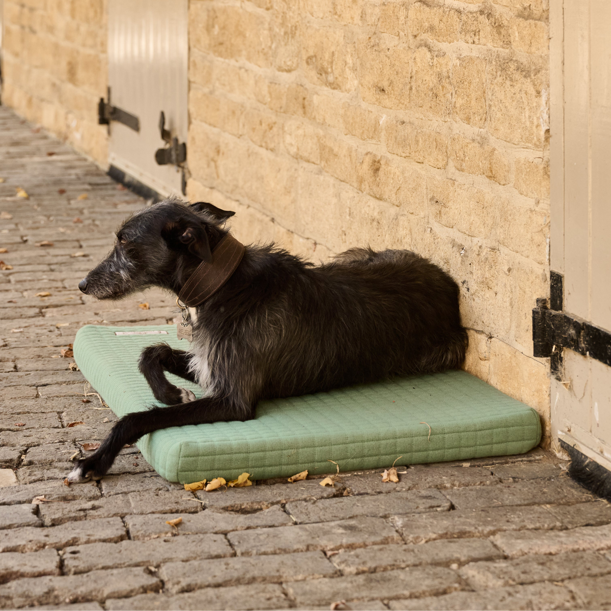 Thermatex Dog Bed in duck egg colour, positioned outside a stable block with a dog laying on it. 
