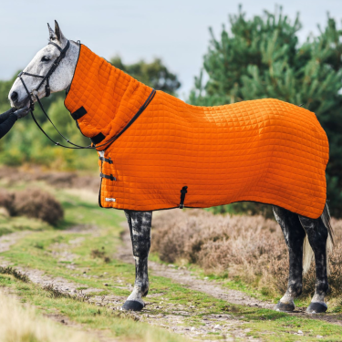 Onesie Cooler Rug (ONESIE)