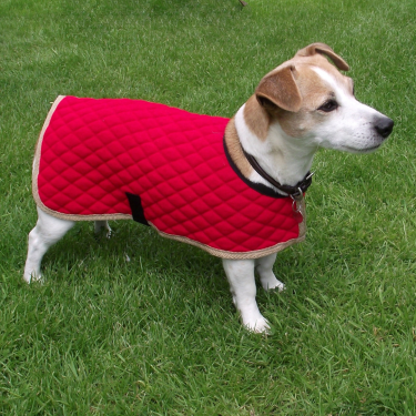 Dog Coat