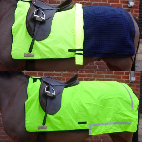 All-Weather Nordic Exercise Rug (ANR)